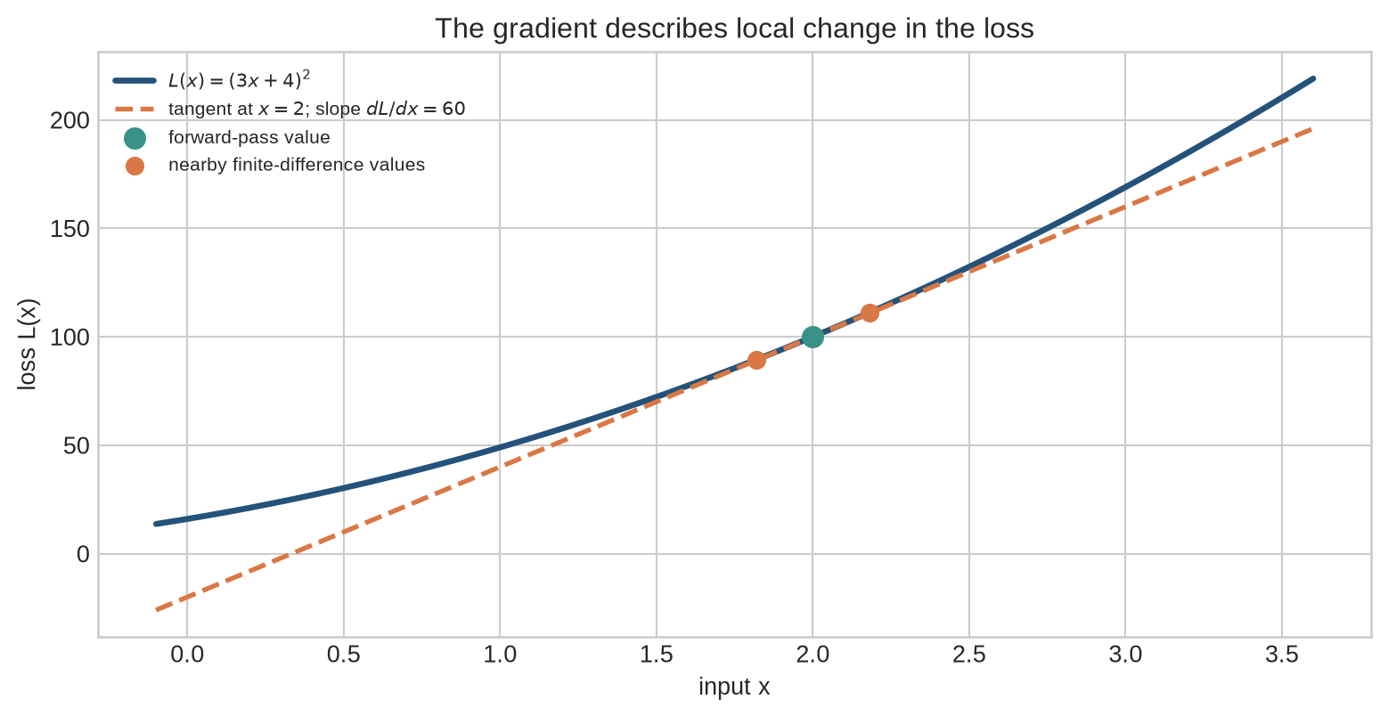 A parabola for the loss as the input changes, with the forward-pass value at x equals two, two nearby finite-difference points, and a tangent line whose slope is sixty.