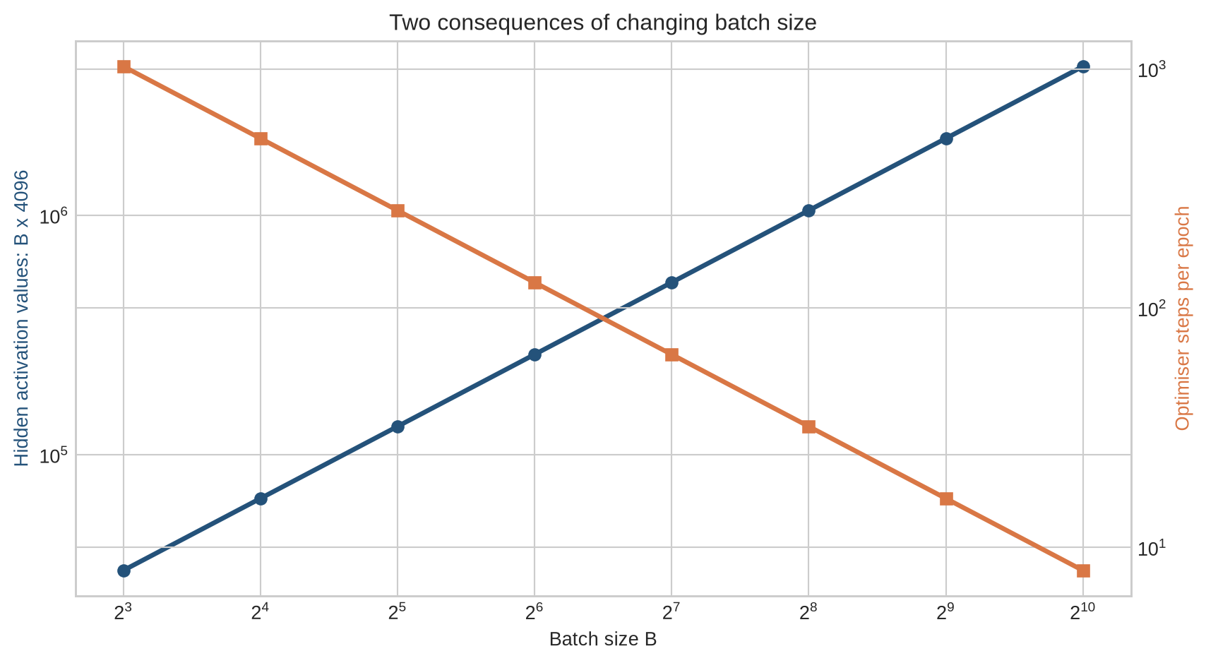 A two-axis line chart shows activation values increasing with batch size while optimiser steps per epoch decrease for 8192 observations and hidden width 4096.