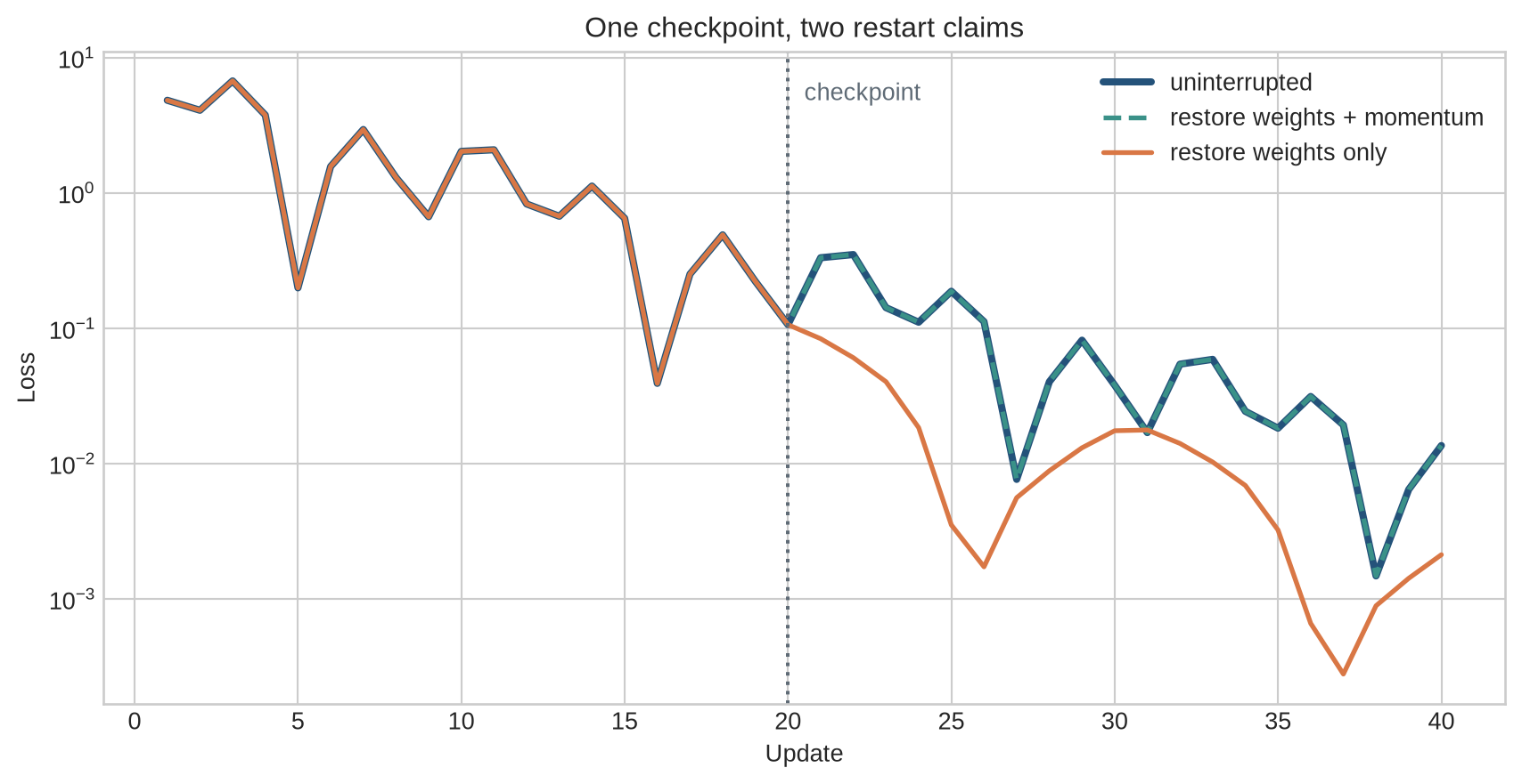 Loss curves show an uninterrupted momentum run and an exact restart overlapping after step twenty, while a weights-only restart follows a different transient path.