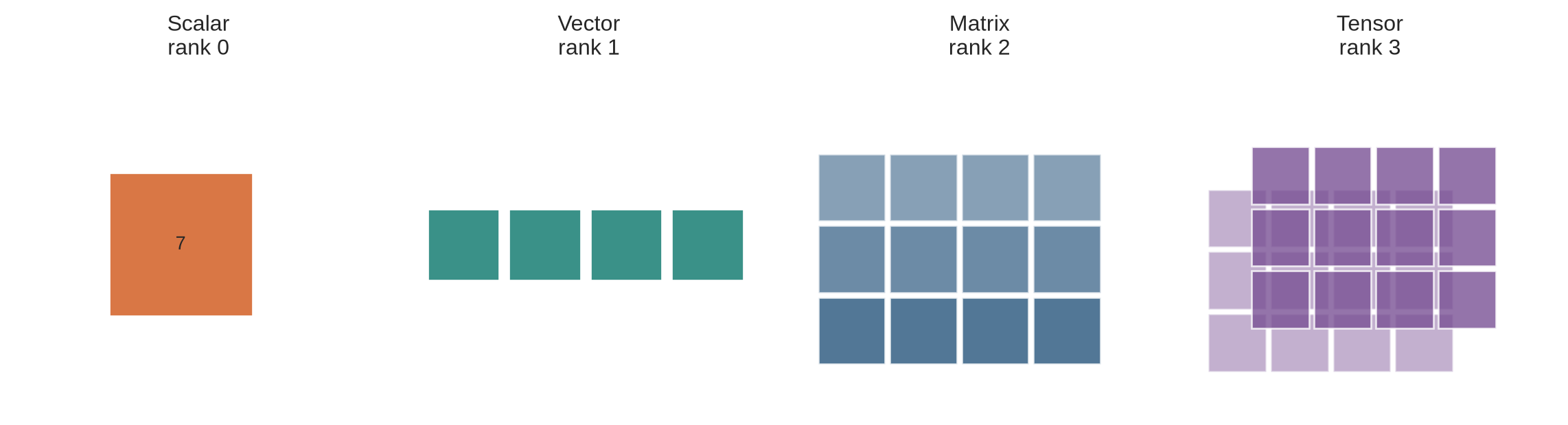 Four panels show a scalar as one cell, a vector as one row, a matrix as a grid, and a rank-three tensor as two stacked grids.