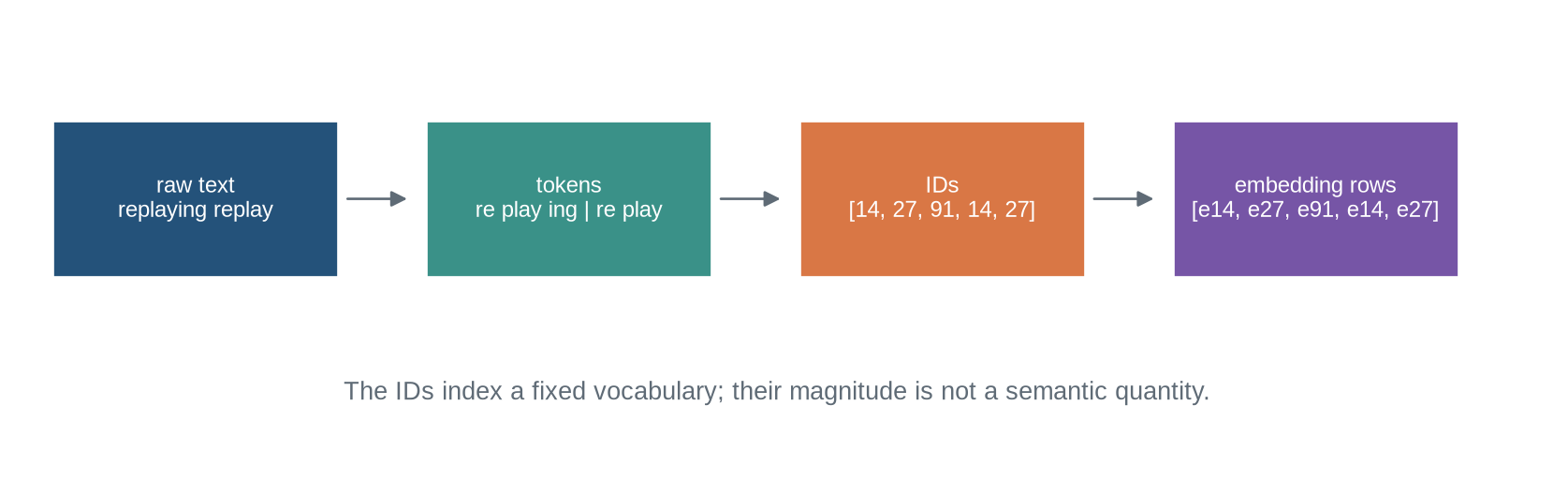 A left-to-right diagram shows raw text, subword pieces, integer token IDs, and corresponding embedding vectors.