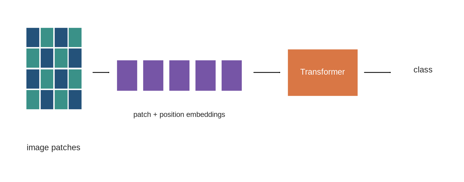 A gridded image becomes a row of patch embeddings with position vectors before Transformer blocks and a classifier.